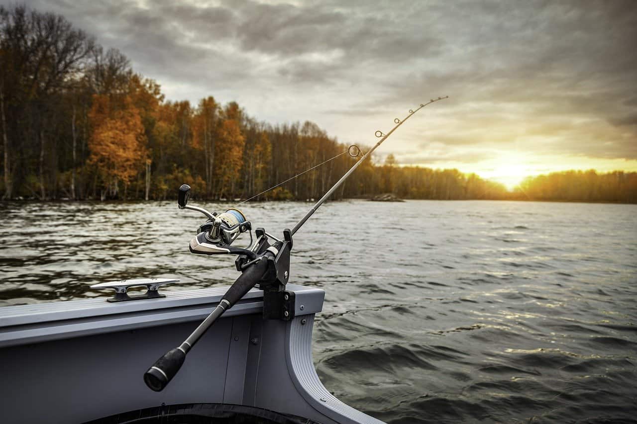 Read more about the article Er du vild med at fiske?